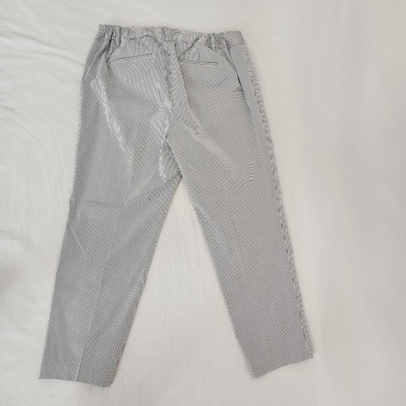TALBOTS Hampshire Ankle Pants Navy/White Stripes Printed Size 16W New No Tags! - Picture 4 of 16